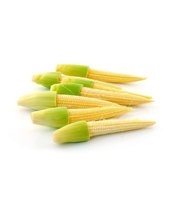 Baby-Corn 5 KG