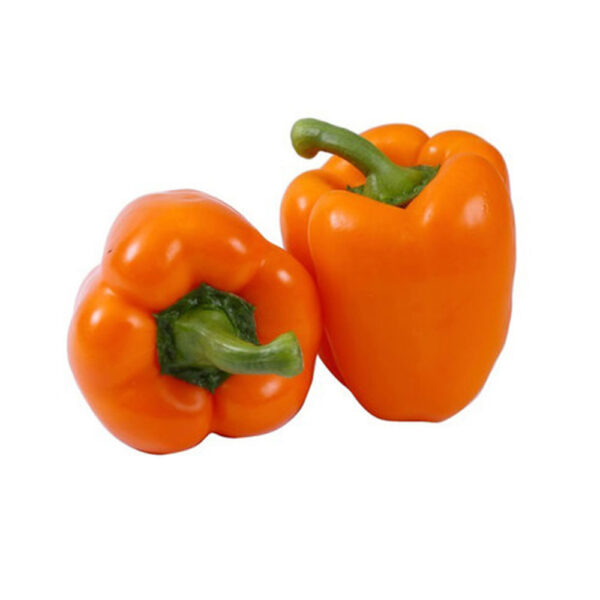 Orange Capsicum 2 pcs