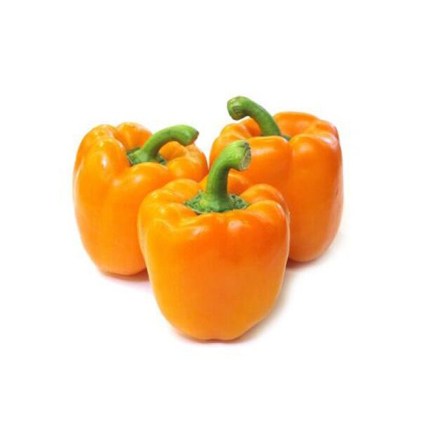 Orange Capsicum 5 pcs