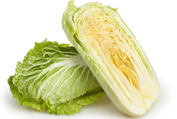 Exotic Cabbage 1 KG