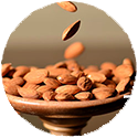 icon-Dry-Fruits1